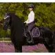 LeMieux Loire Classic Dressage Square Juniper AW25